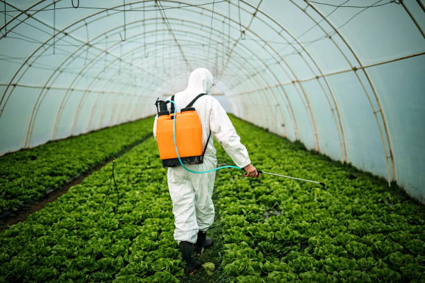 Professional Pest Control in Modesto, CA