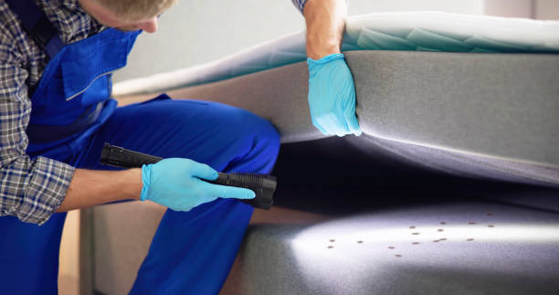Best Termite Control Services  in Modesto, CA