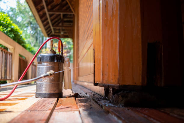 Best Best Pest Control Companies  in Modesto, CA