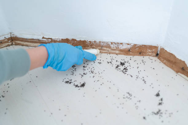 Best Best Pest Control Companies  in Modesto, CA